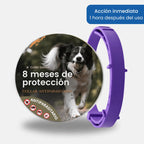 Collar SafePet – Antipulgas y garrapatas [8 meses de protección]