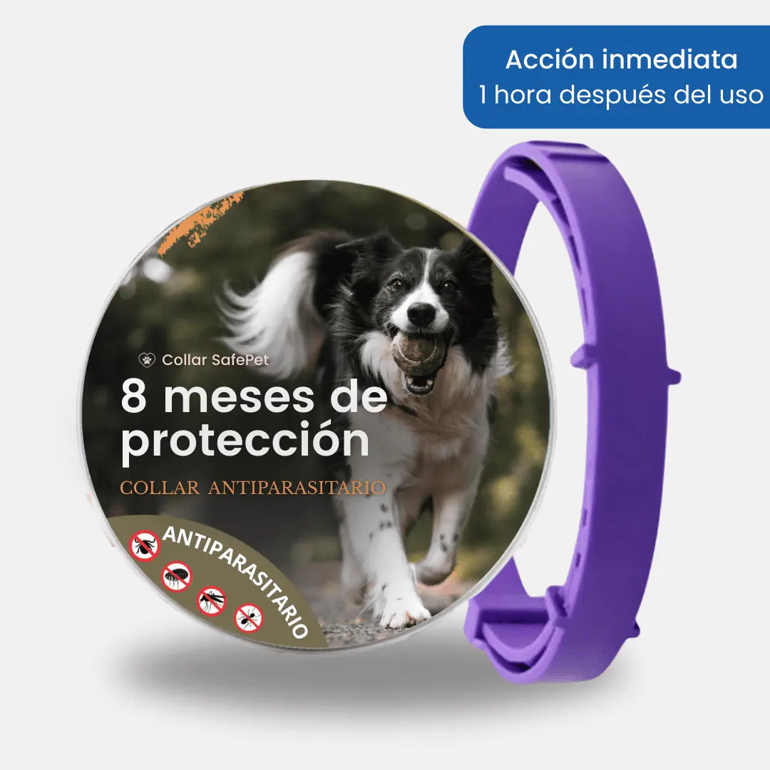 Collar SafePet – Antipulgas y garrapatas [8 meses de protección]