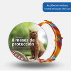 Collar SafePet – Antipulgas y garrapatas [8 meses de protección]