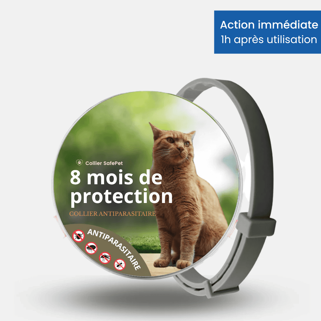 Collier SafePet – Anti-puces et tiques [8 Mois de Protection].