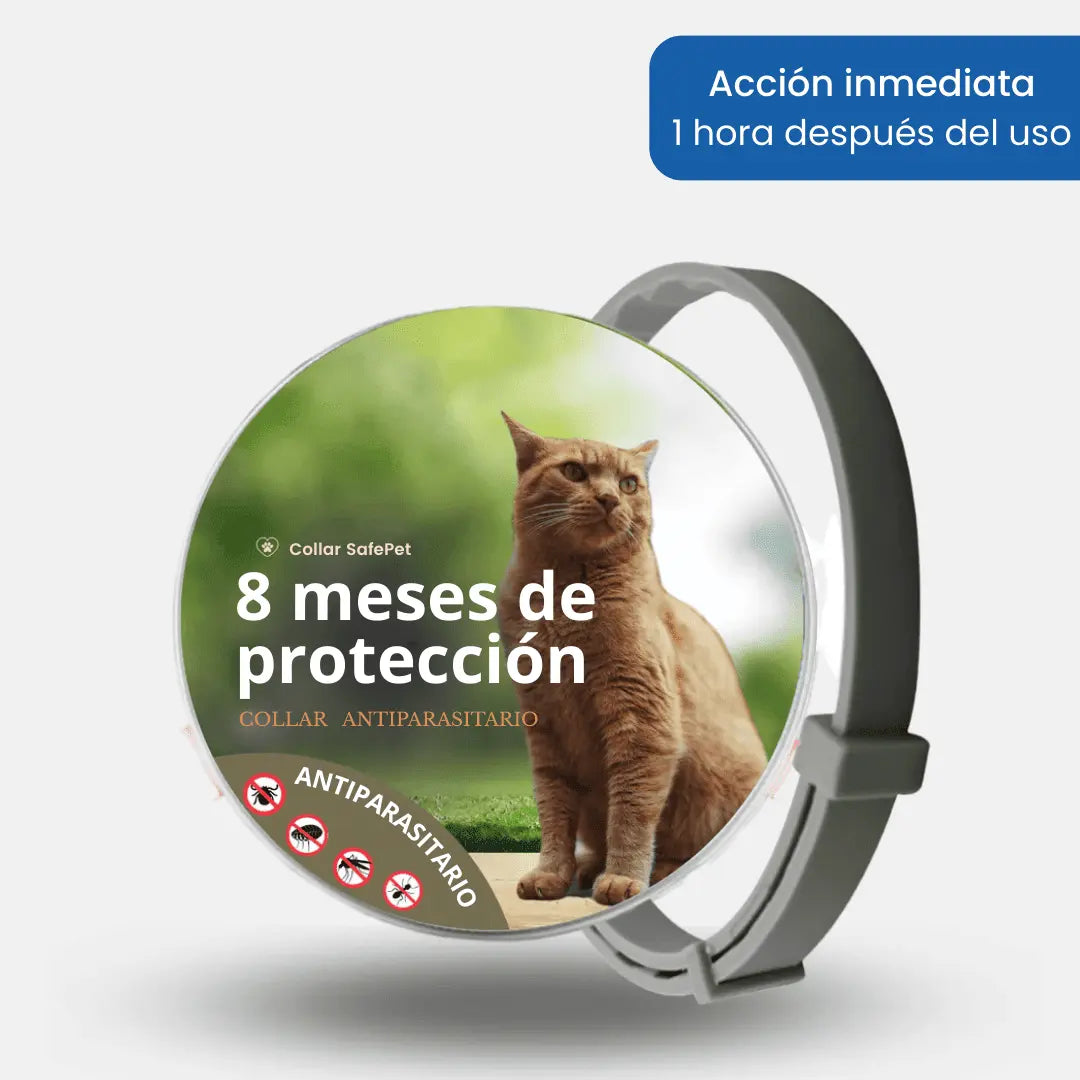 Collar SafePet – Antipulgas y garrapatas [8 meses de protección]