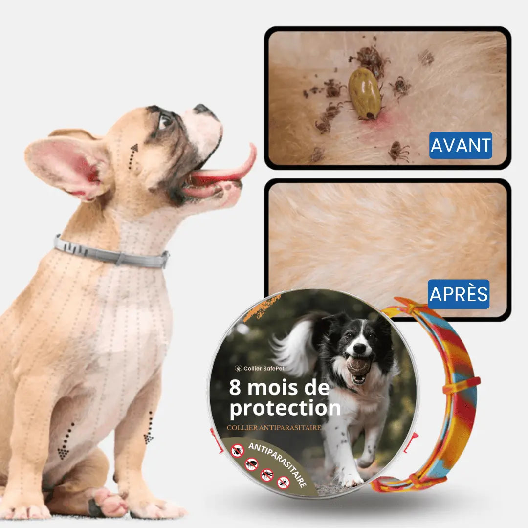 Collier SafePet – Anti-puces et tiques [8 Mois de Protection].