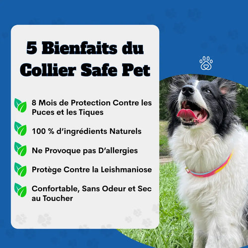 Collier SafePet – Anti-puces et tiques [8 Mois de Protection].