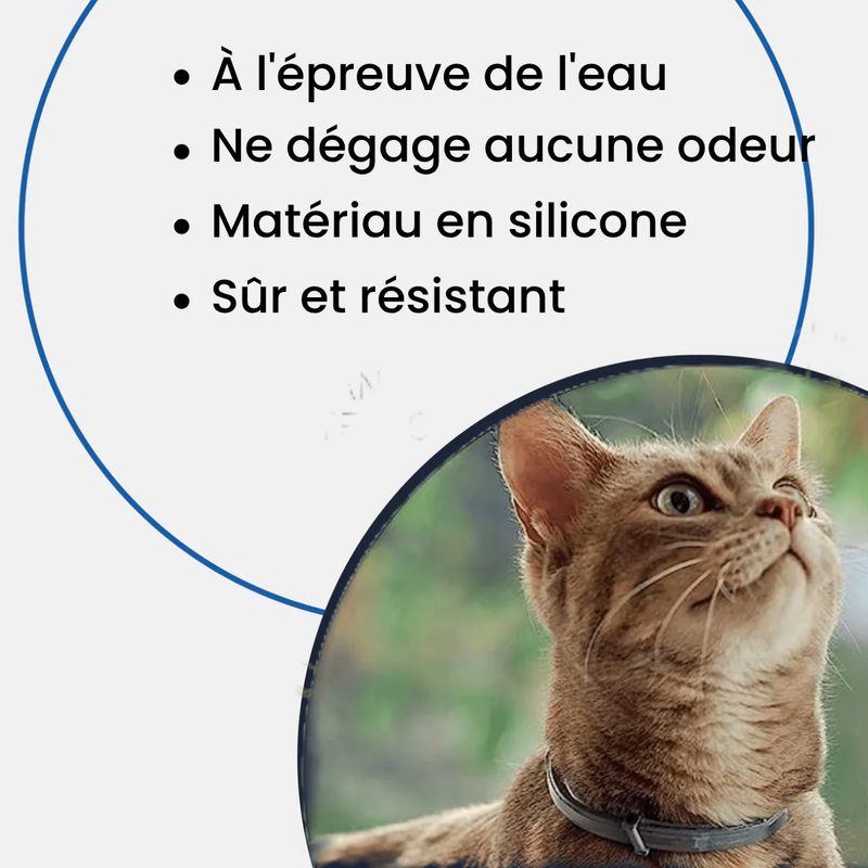 Collier SafePet – Anti-puces et tiques [8 mois de protection]