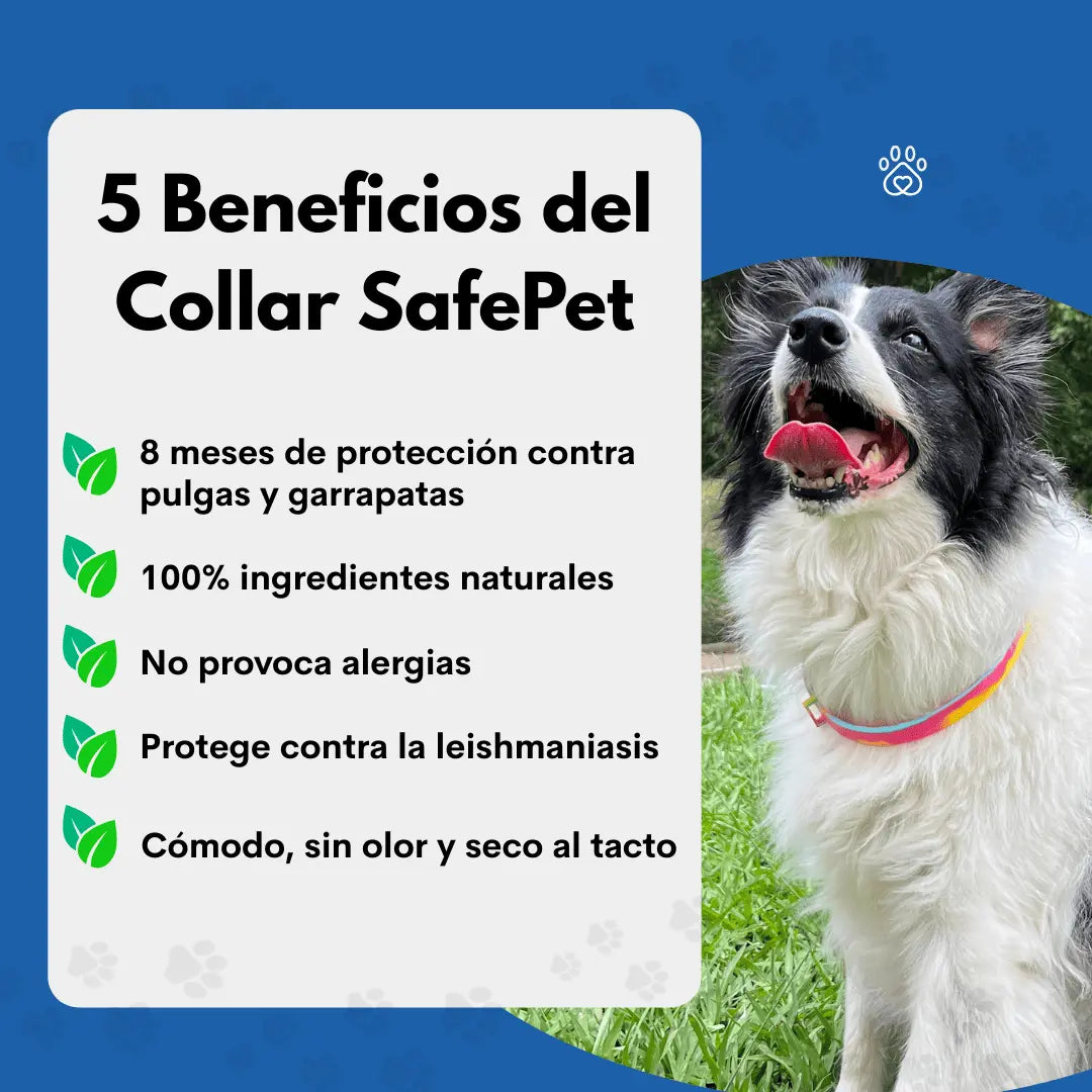 Collar SafePet – Antipulgas y garrapatas [8 meses de protección]