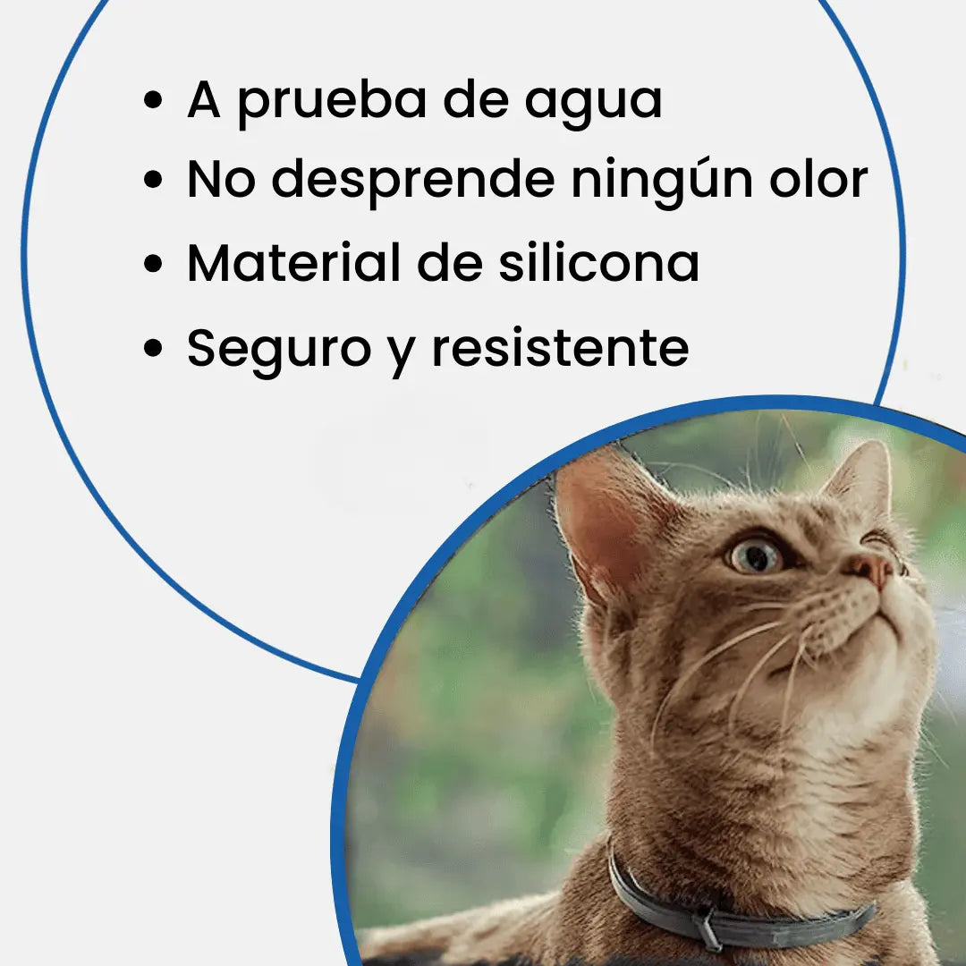 Collar SafePet – Antipulgas y garrapatas [8 meses de protección]
