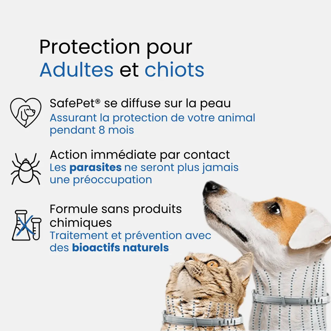 Collier SafePet – Anti-puces et tiques [8 Mois de Protection].