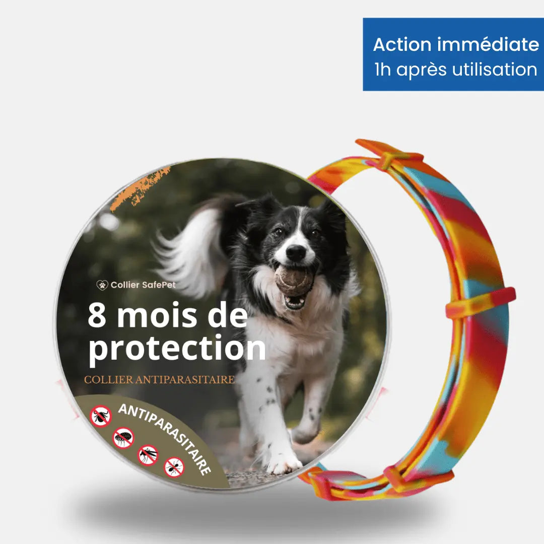 Collier SafePet – Anti-puces et tiques [8 Mois de Protection].