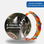 Collar SafePet – Antipulgas y garrapatas [8 meses de protección]