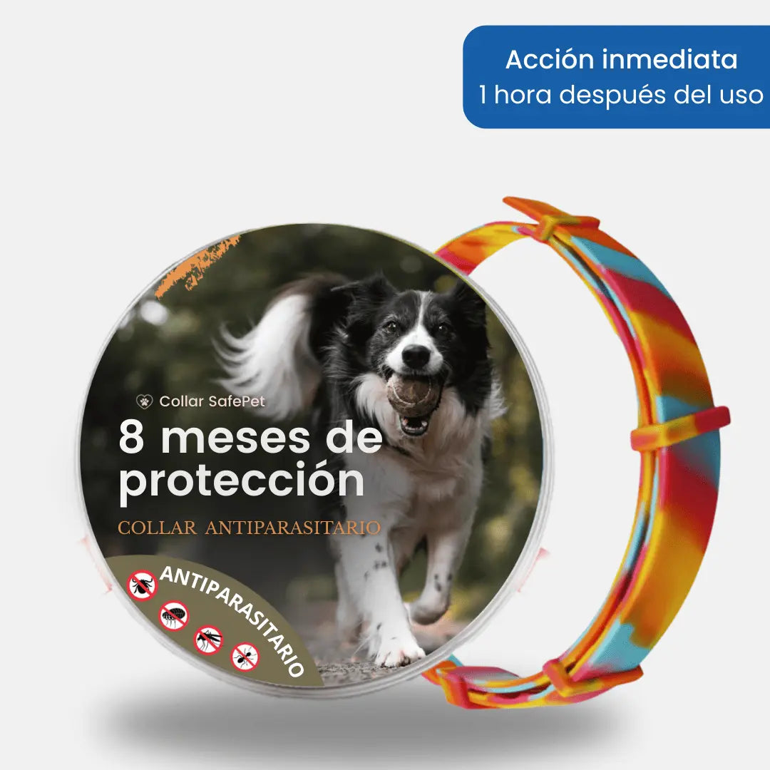 Collar SafePet – Antipulgas y garrapatas [8 meses de protección]