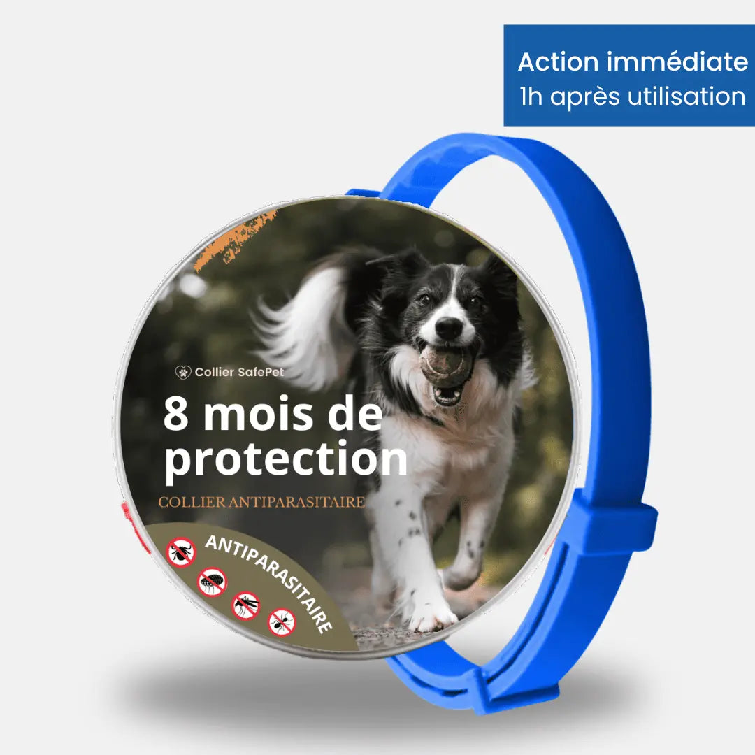 Collier SafePet – Anti-puces et tiques [8 Mois de Protection].