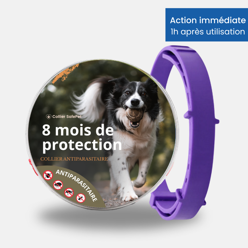 Collier SafePet – Anti-puces et tiques [8 mois de protection]