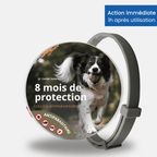 Collier SafePet – Anti-puces et tiques [8 Mois de Protection].