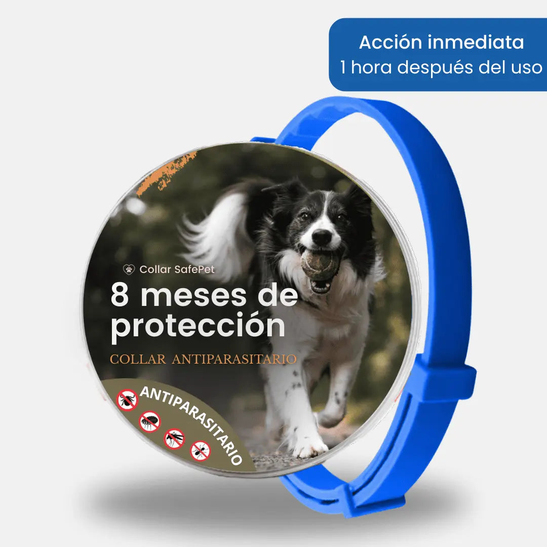 Collar SafePet – Antipulgas y garrapatas [8 meses de protección]