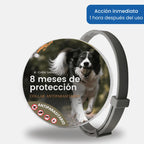 Collar SafePet – Antipulgas y garrapatas [8 meses de protección]