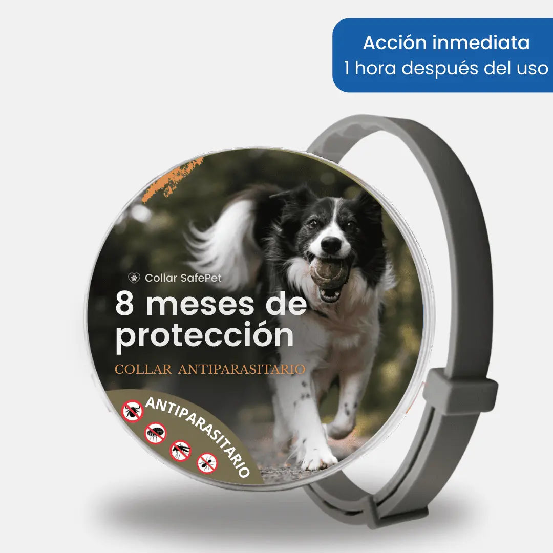 Collar SafePet – Antipulgas y garrapatas [8 meses de protección]