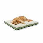 Cama de peluche confort