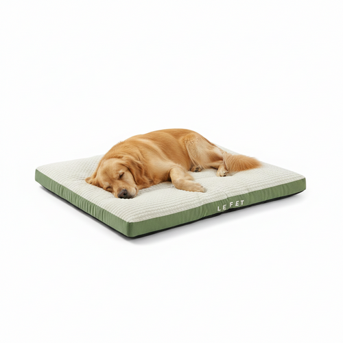 Cama de peluche confort