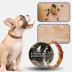 Collar Natural SafePet Antipulgas y Garrapatas - 8 Meses de Protección