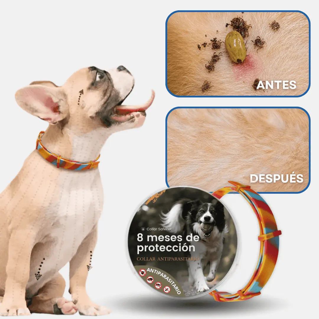 Collar Natural SafePet Antipulgas y Garrapatas - 8 Meses de Protección