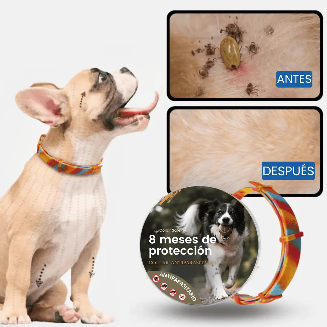 Collar Natural SafePet Antipulgas y Garrapatas [8 Meses de Protección]