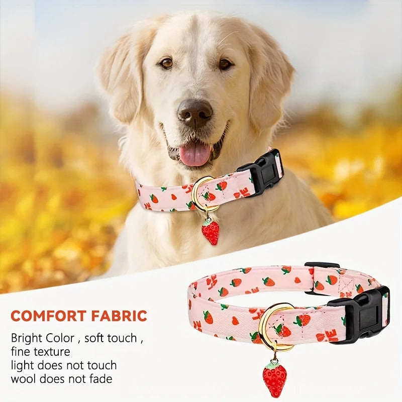 ollier Fruité PopCollar™