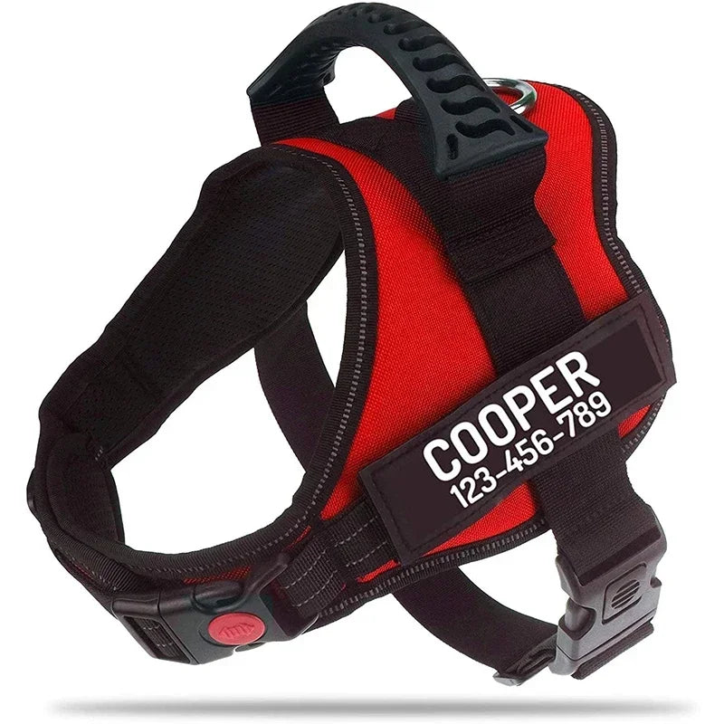 Arnés Ajustable SafePet