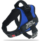 Arnés Ajustable SafePet
