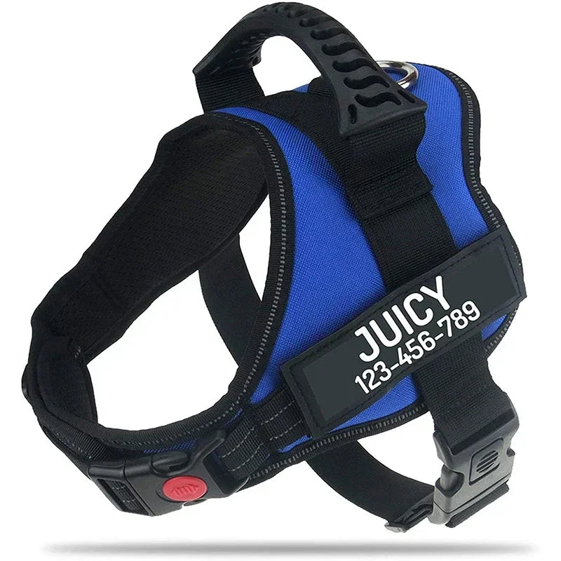 Arnés Ajustable SafePet