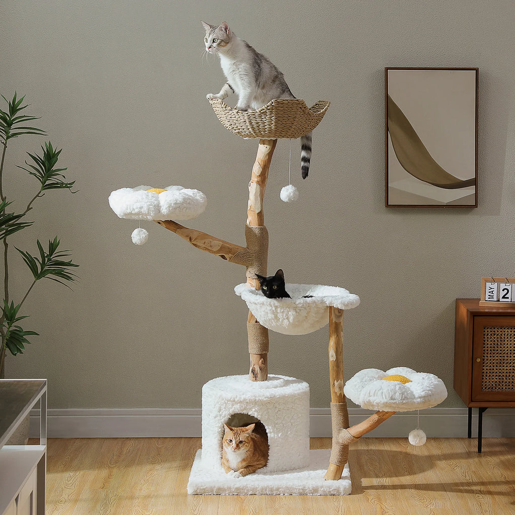 Rascador Árbol SafePet
