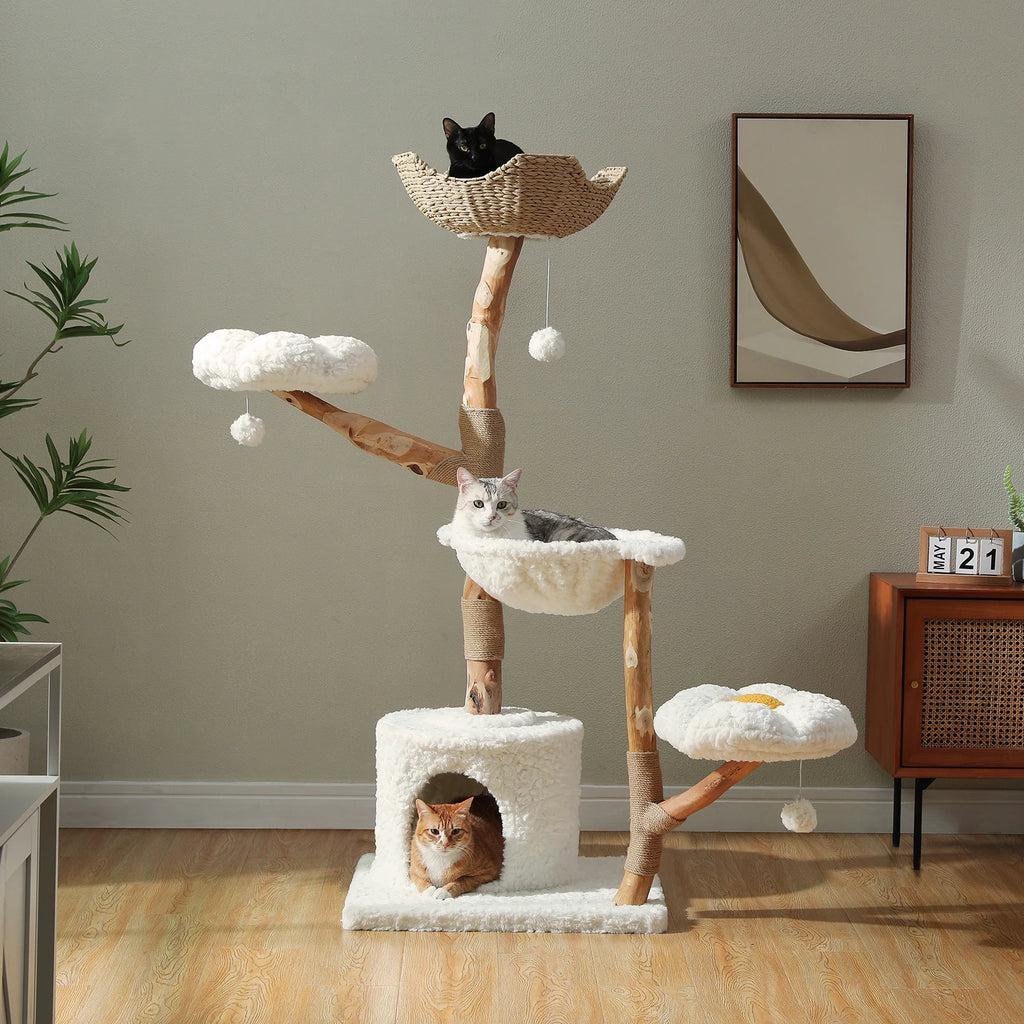 Rascador Árbol SafePet