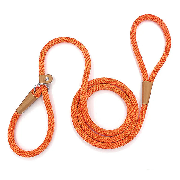 Laisse d’Entraînement SlideControl™