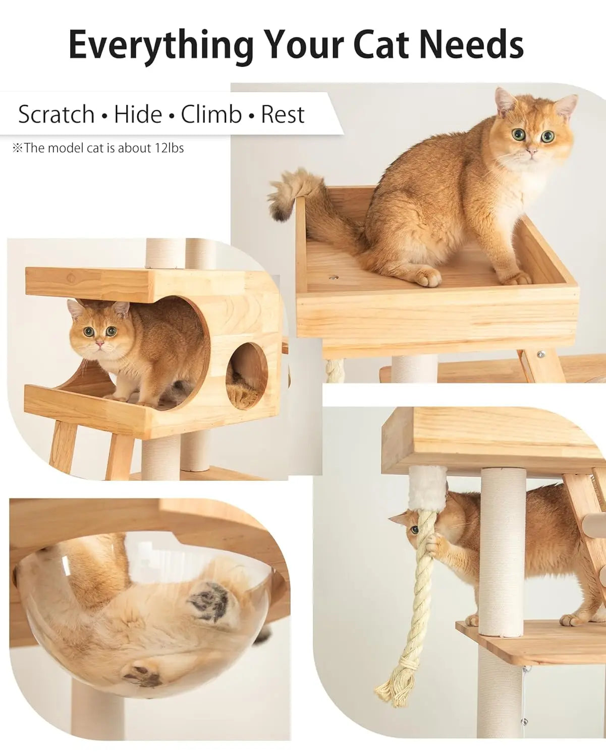 Rascador Multinivel SafePet 1