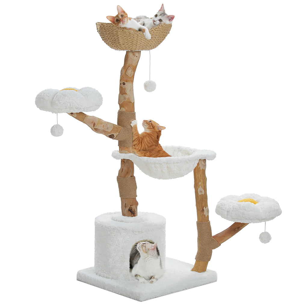 Rascador Árbol SafePet