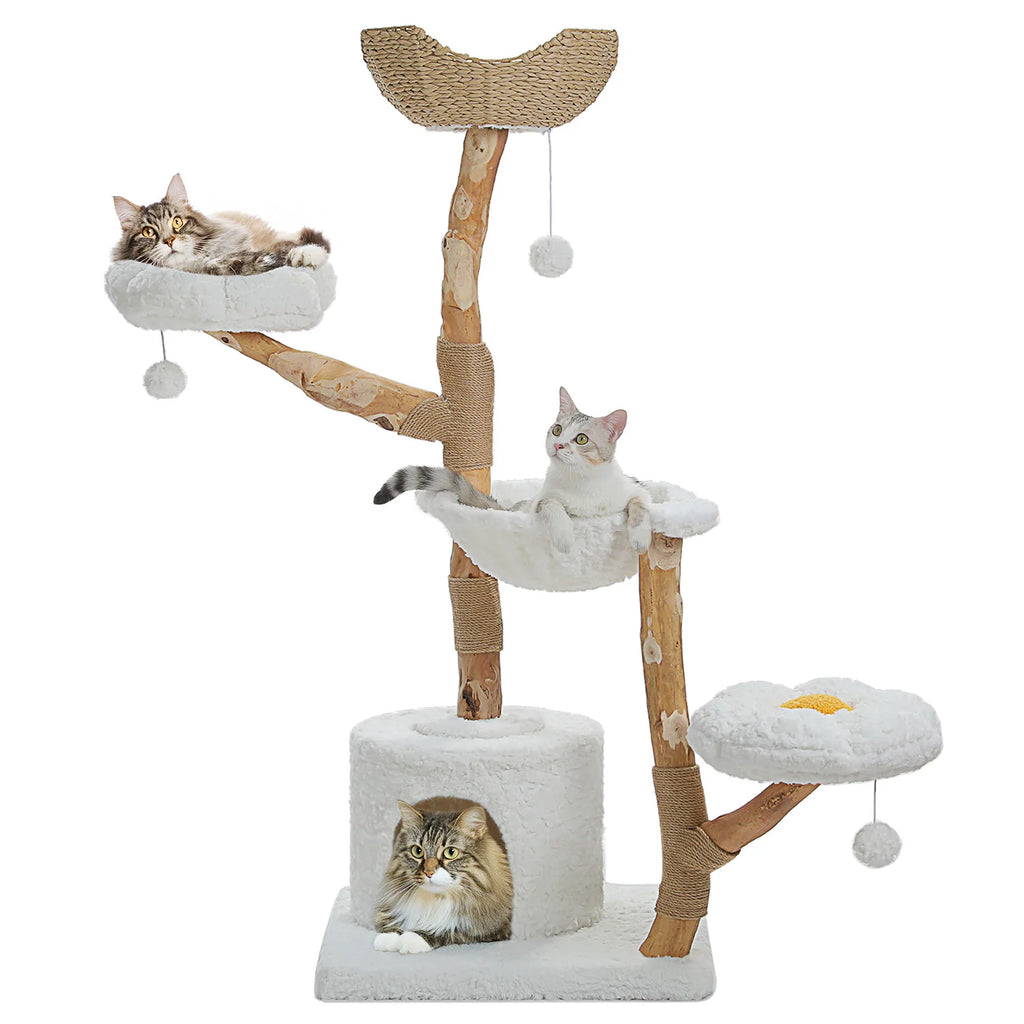 Rascador Árbol SafePet