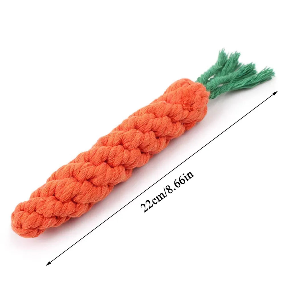 Juguete de cuerda Zanahoria
