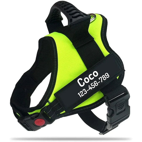 Arnés Ajustable SafePet