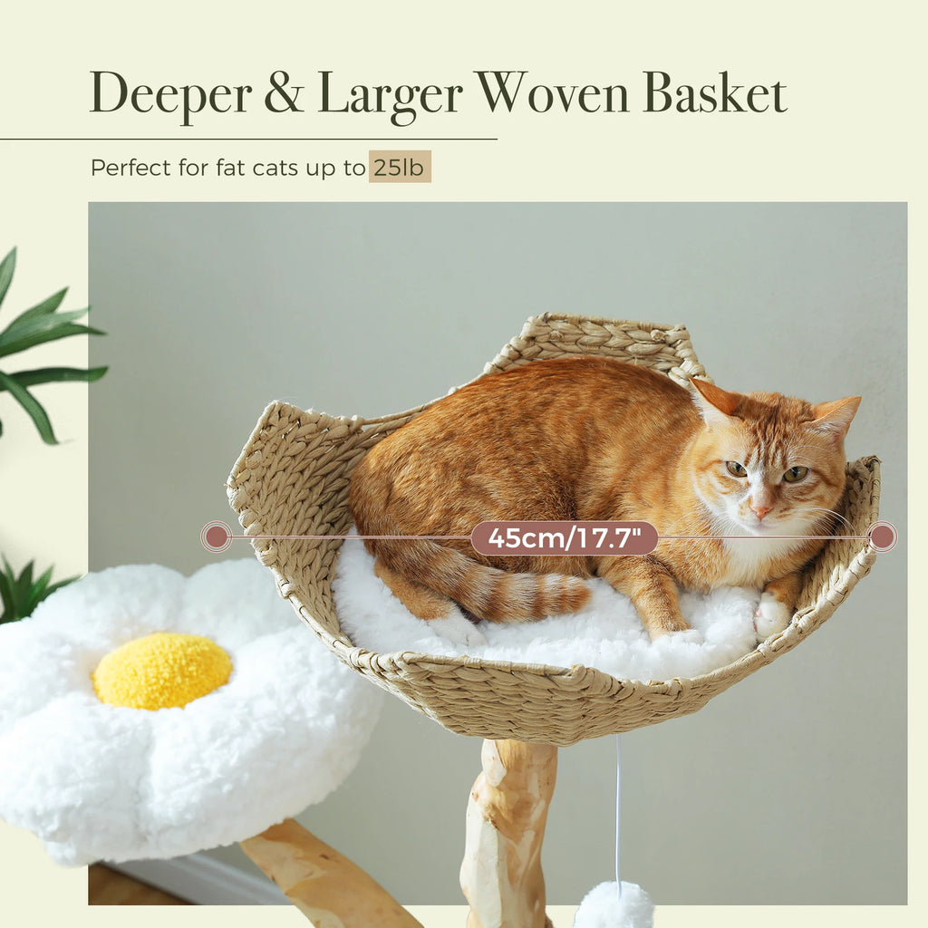 Rascador Árbol SafePet