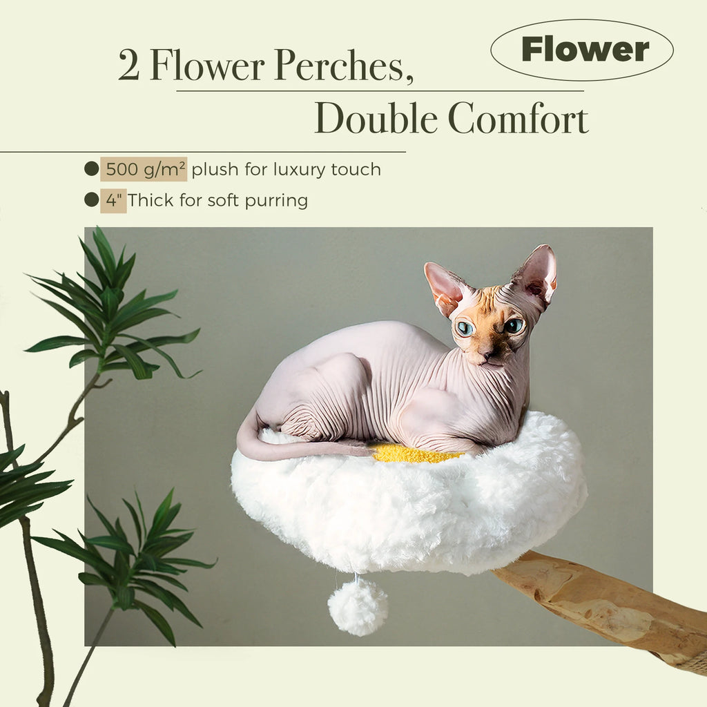 Rascador Árbol SafePet