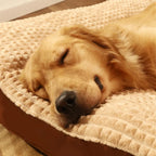 Cama de peluche confort